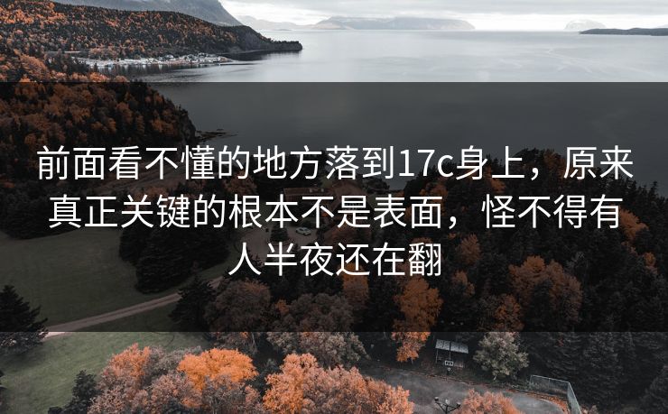 前面看不懂的地方落到17c身上，原来真正关键的根本不是表面，怪不得有人半夜还在翻